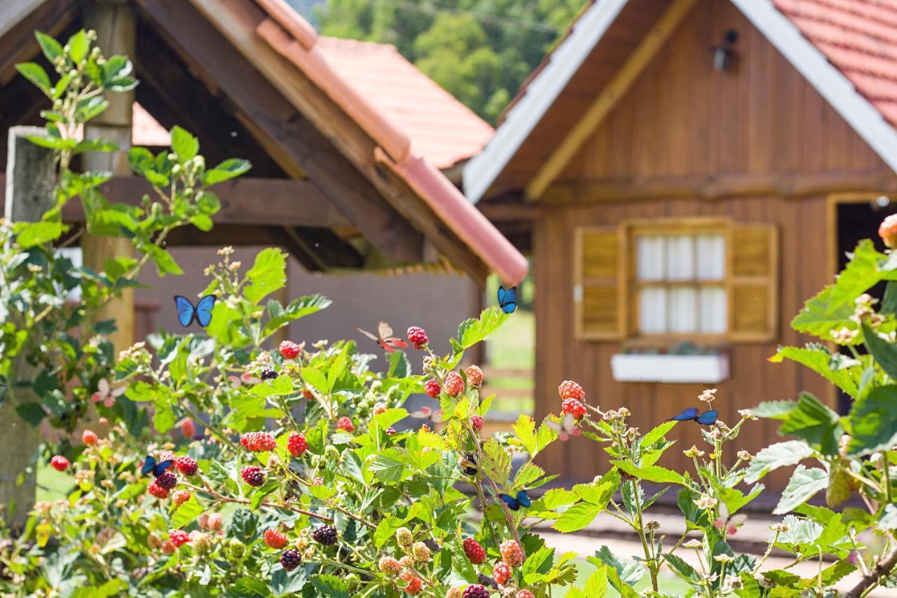 Pousada Rural Pavao - Suites E Chales Urubici Zewnętrze zdjęcie